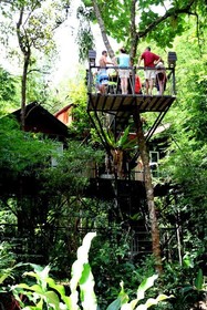 Khao Sok Tree House Resort