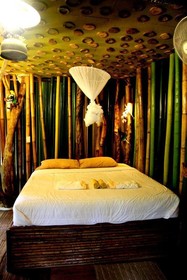 Khao Sok Tree House Resort