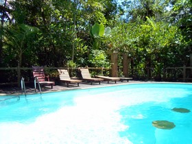 Khao Sok Tree House Resort