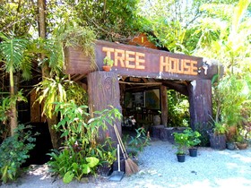 Khao Sok Tree House Resort