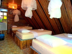 Khao Sok Tree House Resort