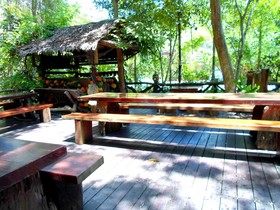 Khao Sok Tree House Resort