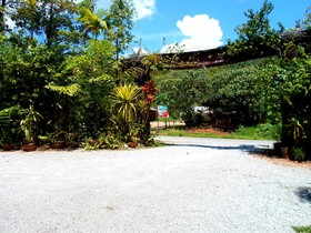 Khao Sok Tree House Resort