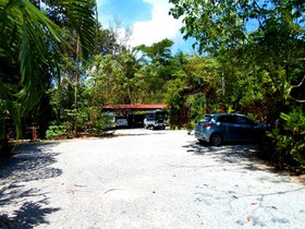Khao Sok Tree House Resort