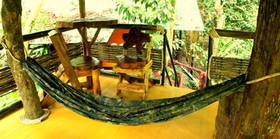 Khao Sok Tree House Resort