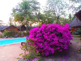 Koh Jum Lodge