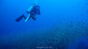 Satun Dive Resort