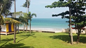 Aloha Lanta