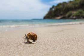 Anda Lanta Resort