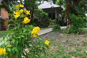 Baan Long Beach