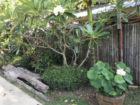 Baan Suan Rim Klong