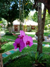 Blanco Hostel At Lanta