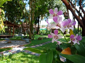 Blanco Hostel At Lanta