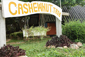 Cashewnut Tree Bungalows