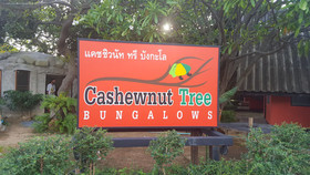 Cashewnut Tree Bungalows
