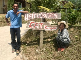 Cat Bungalow