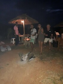 Cat Bungalow
