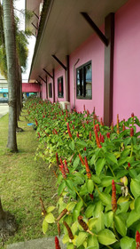 Lanta Sweet Mansion