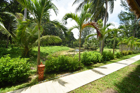 Long Beach Chalet
