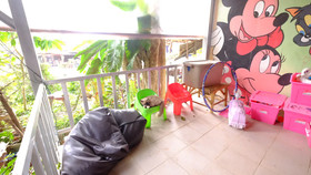 Patty’s Secret Garden