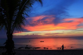 Peace Paradise Beach