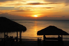 Peace Paradise Beach