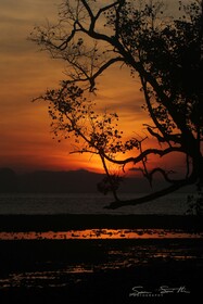 The Other side Villas