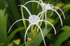 Veranda Lanta & Spa Resort