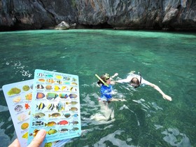 Koh Mook Charlie Beach Resort