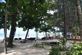 Bamboo Bungalows