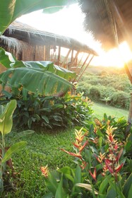 Phuree Hut