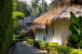Elixir Koh Yao Yai
