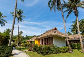 Elixir Koh Yao Yai