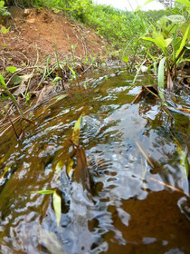 Green Mountain Resort Koh Yao