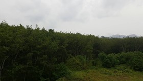 CK House Krabi