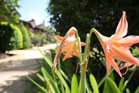 Coco Lanta Eco Resort