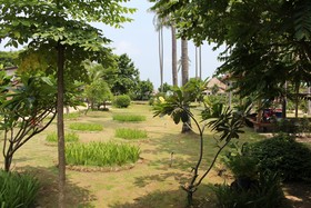 Coco Lanta Eco Resort