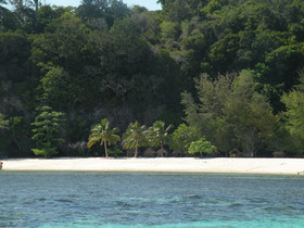 Coco's Guest House