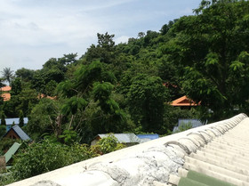 Coco's Guest House