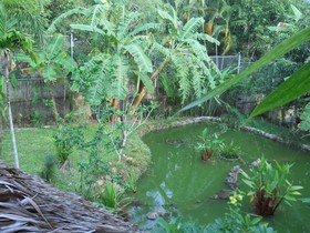 Frog And Catfish Country Inn Krabi