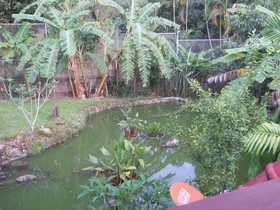 Frog And Catfish Country Inn Krabi
