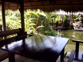 Frog And Catfish Country Inn Krabi
