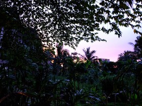 KiriRaya Resort & Spa