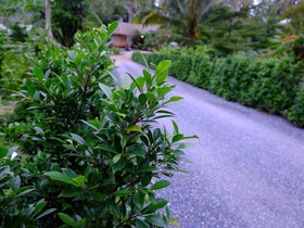 KiriRaya Resort & Spa