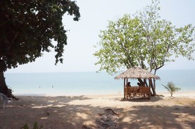 Pine Bungalow