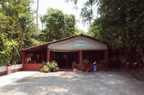 Pine Bungalow