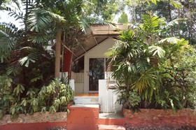 Pine Bungalow