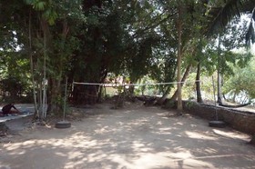 Pine Bungalow