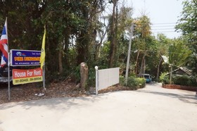Pine Bungalow