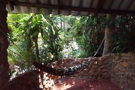 Pine Bungalow